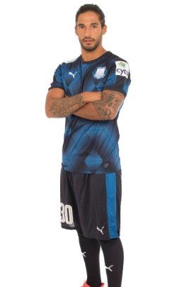 Tiago Gomes 2016-2017