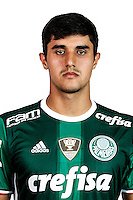  Thiago Martins 2016