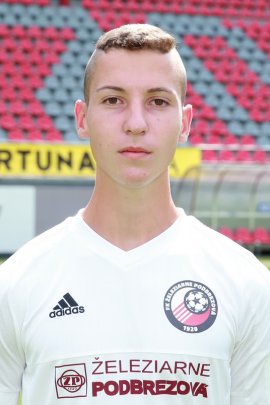 Alexander Mojzis 2017-2018