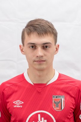 Dmitriy Krivosheyev 2017