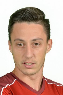 Daniel Novac 2018-2019