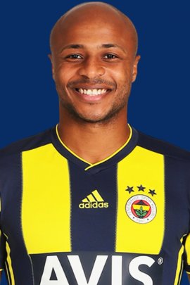 André Ayew 2018-2019