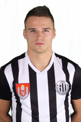 Lazar Sajcic 2018-2019