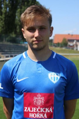 Christian Frydek 2018-2019