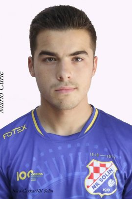 Mario Curic 2018-2019