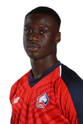 Cheikh Niasse 2018-2019