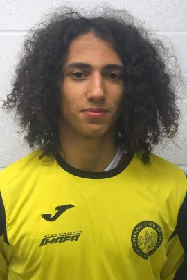 Sofiane Faouzi 2018-2019