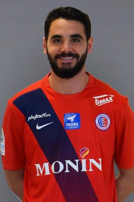 Julien Fabri 2019-2020