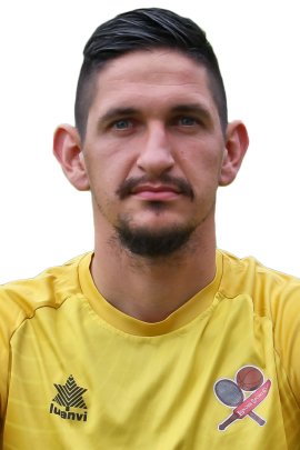 Igor Stefanovic 2019-2020