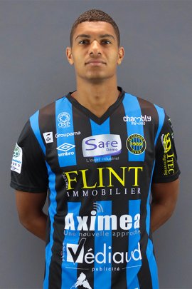 Florian David 2019-2020
