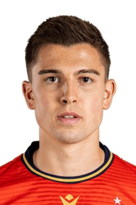 Nathan Konstandopoulos 2019-2020