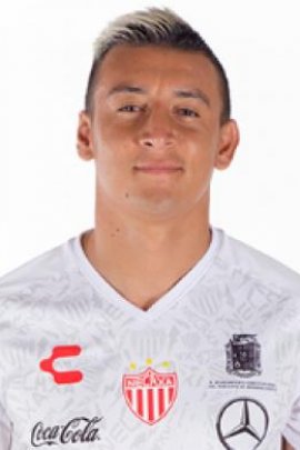 Daniel Alvarez 2019-2020