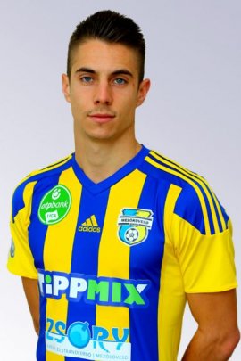 Dino Besirovic 2019-2020