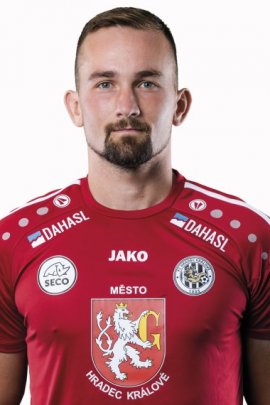 Patrik Vizek 2019-2020