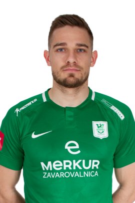 Timi Elsnik 2019-2020