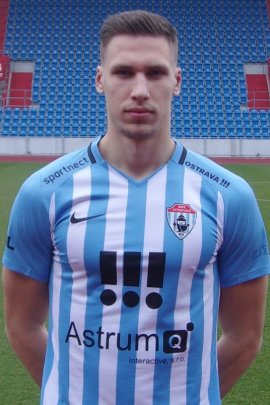 Radim Plesnik 2019-2020