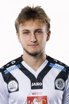 Christian Frydek 2019-2020