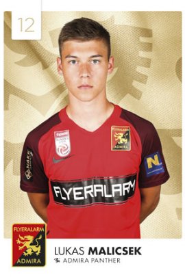 Lukas Malicsek 2019-2020