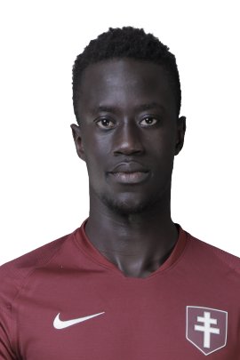 Ibrahima Niane 2019-2020