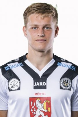 Dominik Soukenik 2019-2020