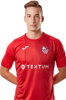 Miroslav Ilicic 2019-2020