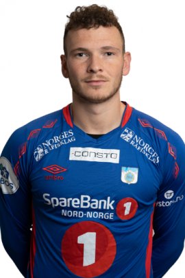 Henrik Breimyr 2019