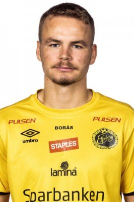 Gustav Henriksson 2019