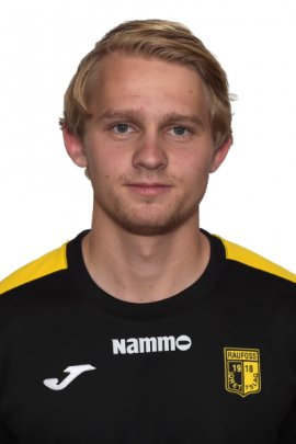 Martin Heiberg 2019