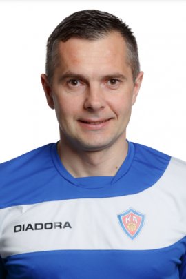 Srdjan Tufegdzic 2019