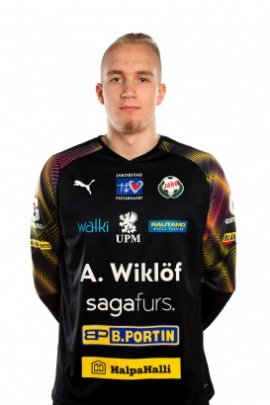 Topi Valtonen 2019