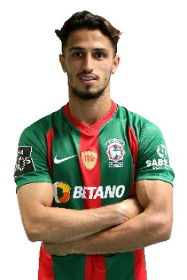 Ali Alipour 2020-2021