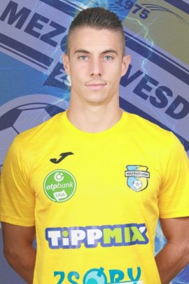 Dino Besirovic 2020-2021