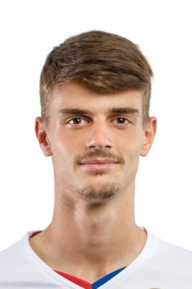 Luka Skaricic 2020-2021