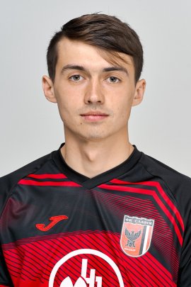 Dmitriy Krivosheyev 2020