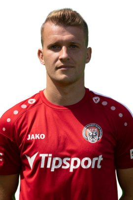 Michal Skwarczek 2022-2023