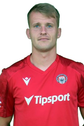 Michal Skwarczek 2023-2024