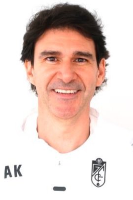 Aitor Karanka