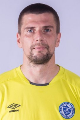 Irfan Fejzic