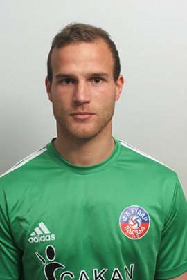 Vuk Radovic