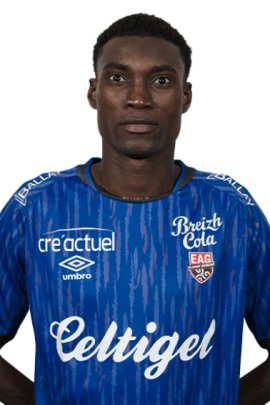 Babacar Niasse