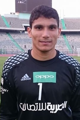 Mohamed Mostafa