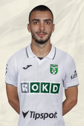 Andrija Raznatovic