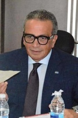 Amr El Ganainy