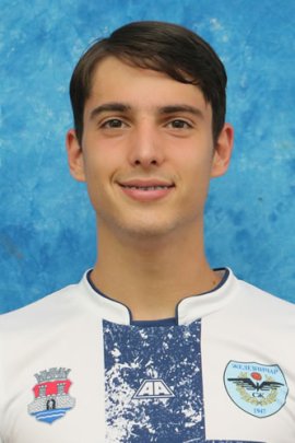 Nikola Lainovic