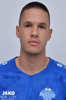 Ilija Milicevic