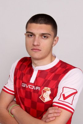 Stanislav Zeljajic