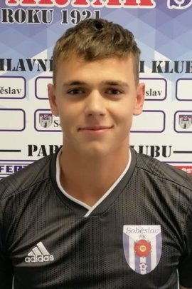 Jan Pavlik