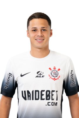  Matheus Araujo