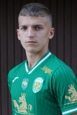 Vitaliy Katrych