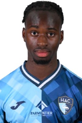 Georges Gomis